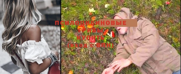 гидропоника Белокуриха