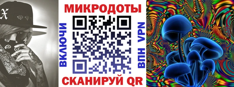 Псилоцибиновые грибы Psilocybine cubensis  Окуловка 